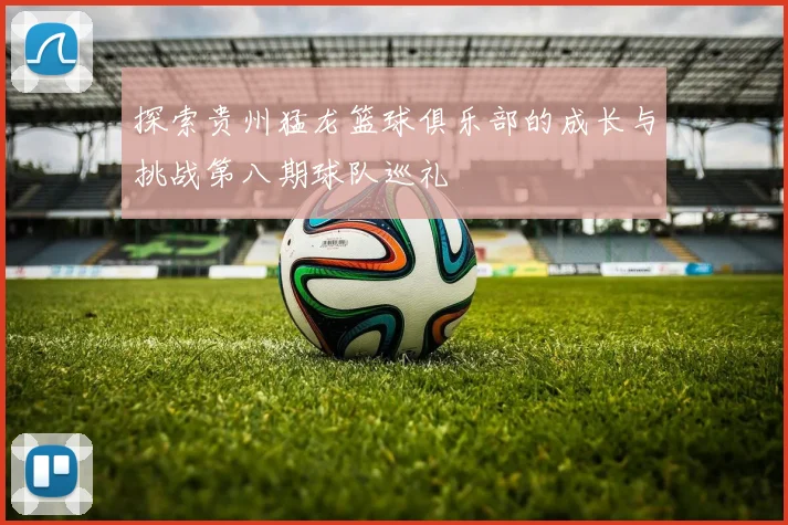 探索贵州猛龙篮球俱乐部的成长与挑战第八期球队巡礼