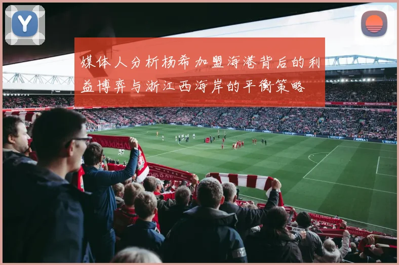 媒体人分析杨希加盟海港背后的利益博弈与浙江西海岸的平衡策略