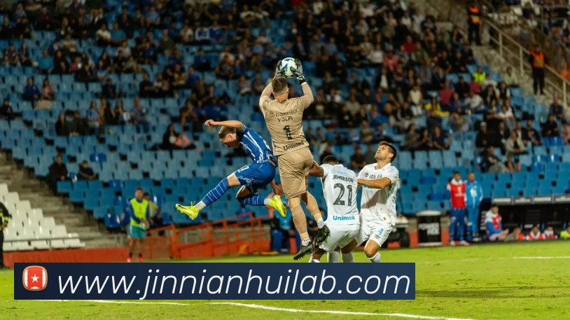 金年会平台生态图